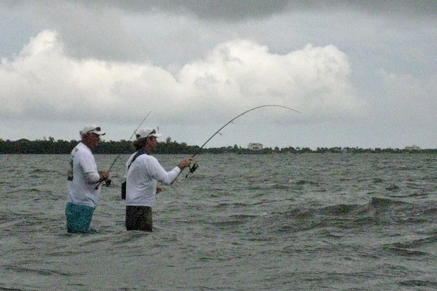 Watching with rapt attention as some actual "catching" is going on.