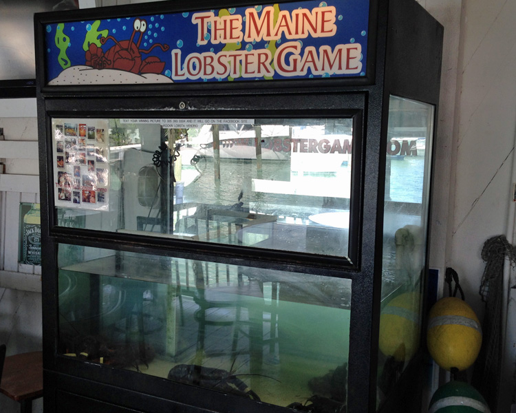 Instead of stuffed toys, you can pick up a live Maine Lobster - $3.00 per try
