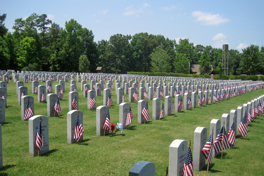 Georgia Veteran's Memorial Cemetery - Memorial Day, 2014