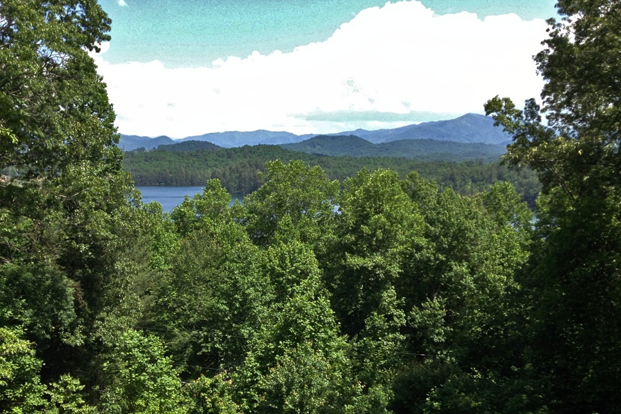 From a Scenic Overlook where we pulled over to stretch our legs 