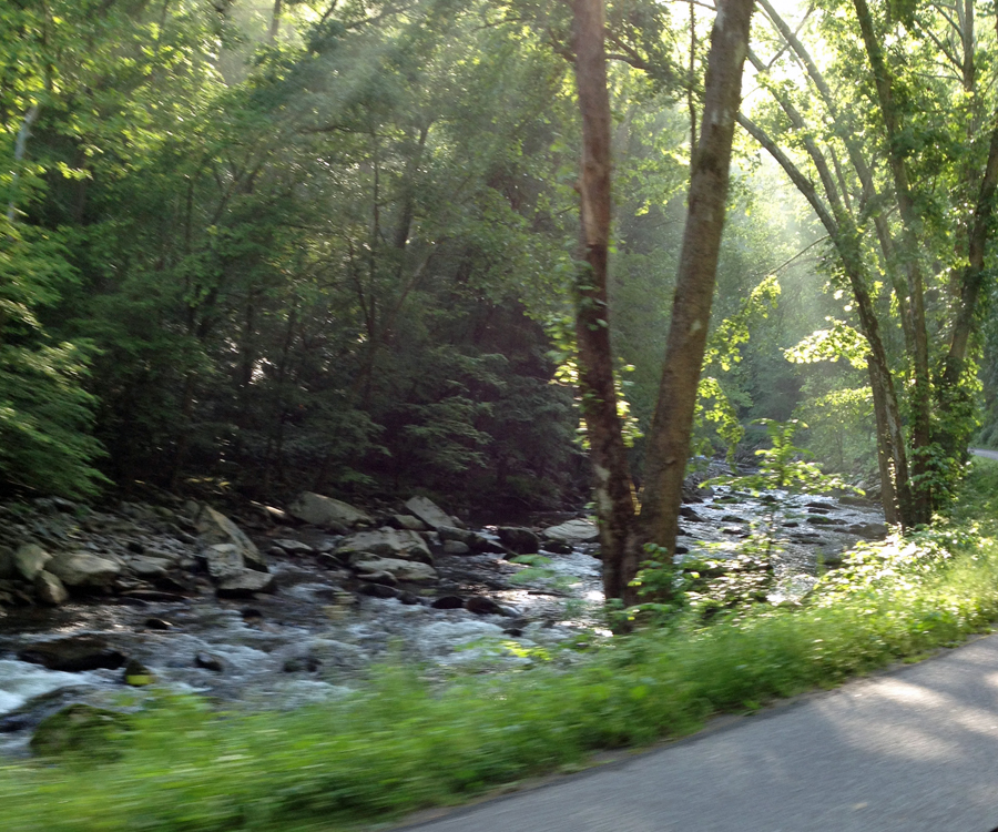 31 River2