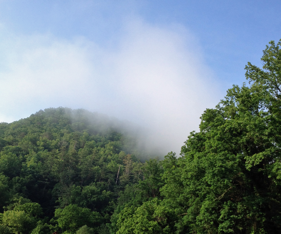 A fine example this morning of how the Great Smoky Mountains got their name.