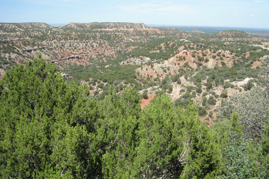 Some parts of Texas are like this and lots of fun to ride through