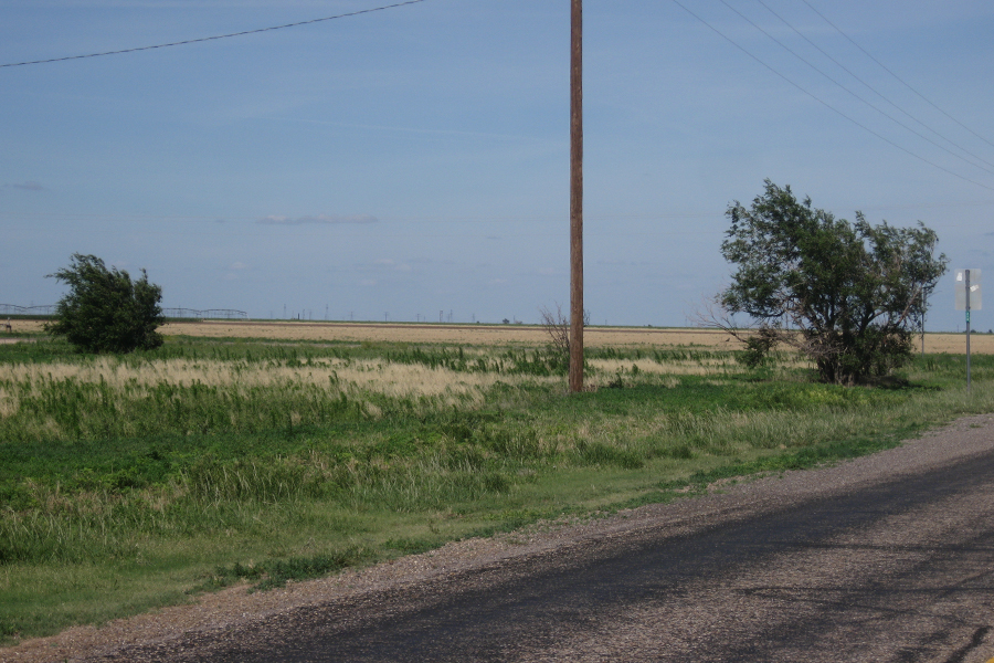 If you're moving somewhere and you wonder about the wind, check out the trees & bushes.  These were not the best examples but they were convenient (the wind is not really blowing in this shot). 