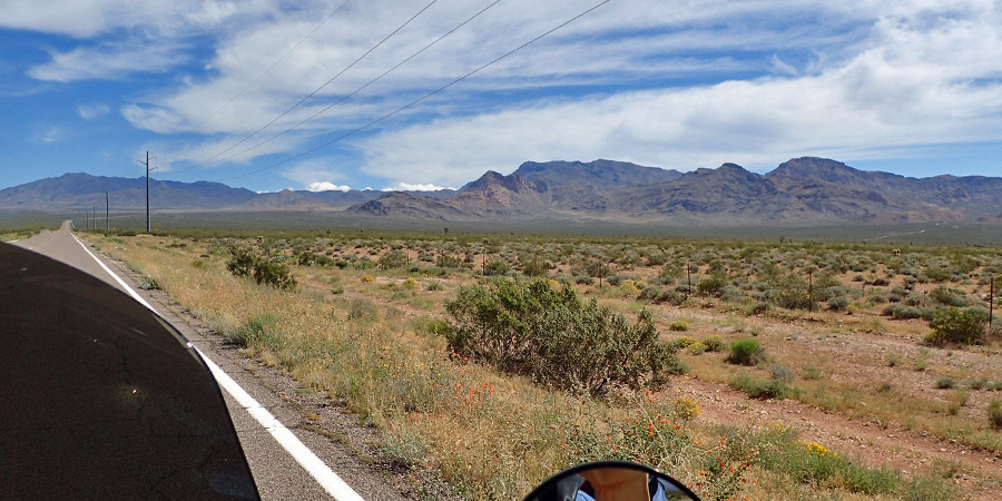 D2 Arizona