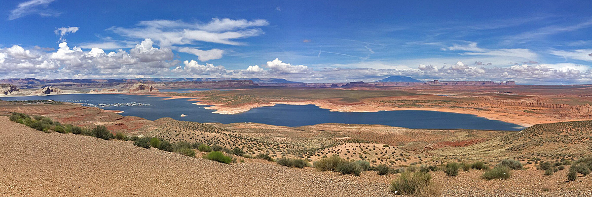 Powell