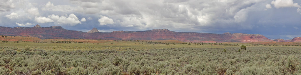 D2 UT Pano