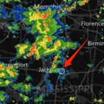 MS WX1