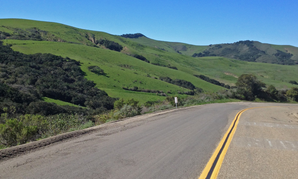 The vast majority of the area is too steep to cultivate and but for the road, is untouched.