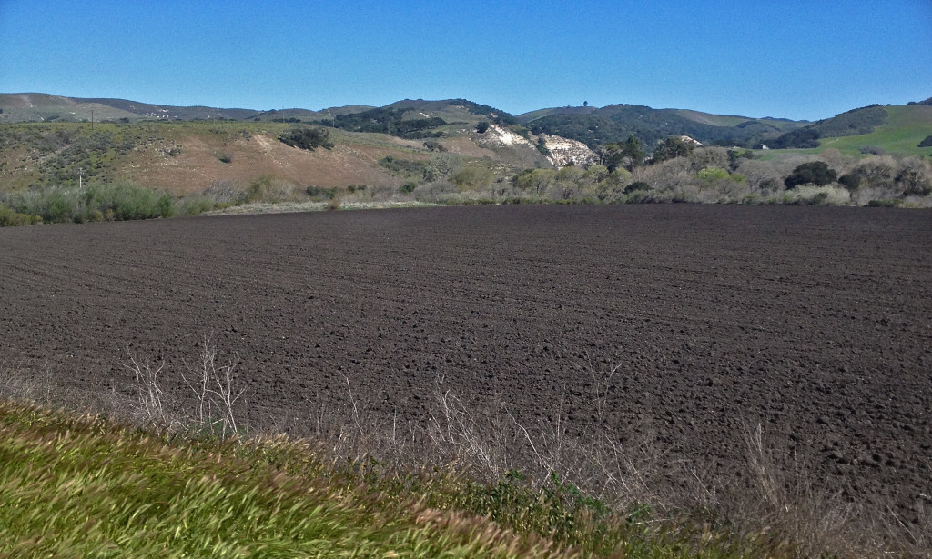 An earthy smell permeated the air near these fields of recently turned  dark and rich soil.