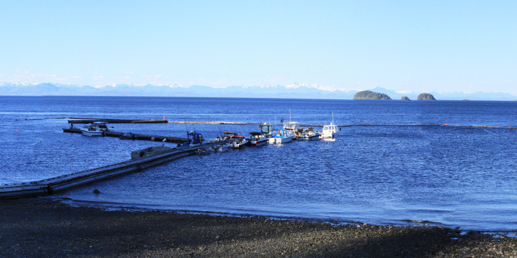 Scotia Bay
